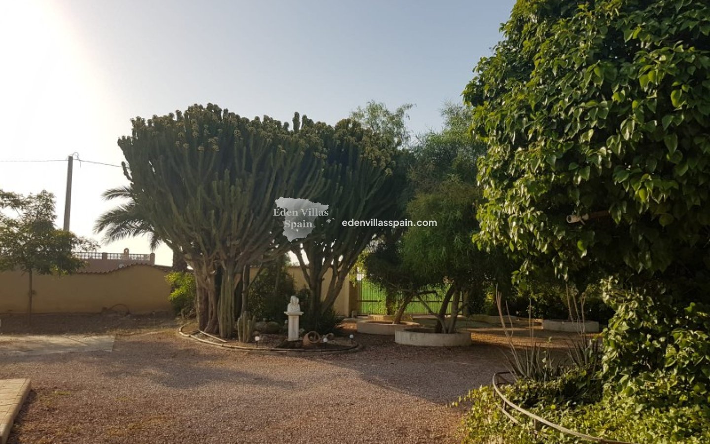 Revente - Maison de campagne - Elche