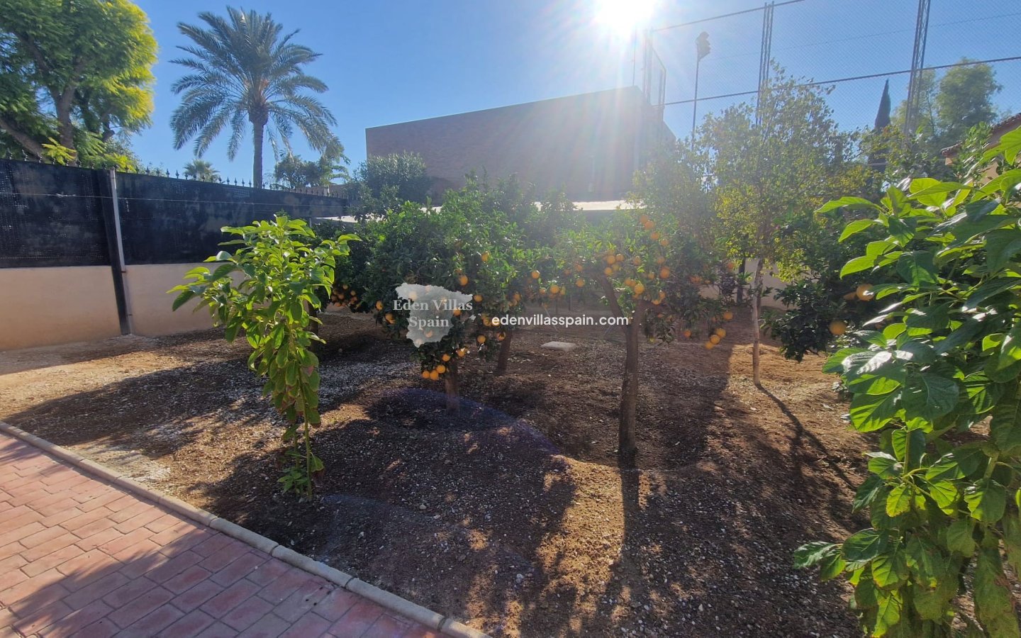 Revente - Maison de campagne - Elche