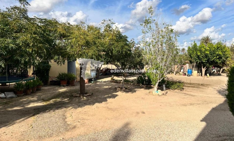 Revente - Maison de campagne - Elche