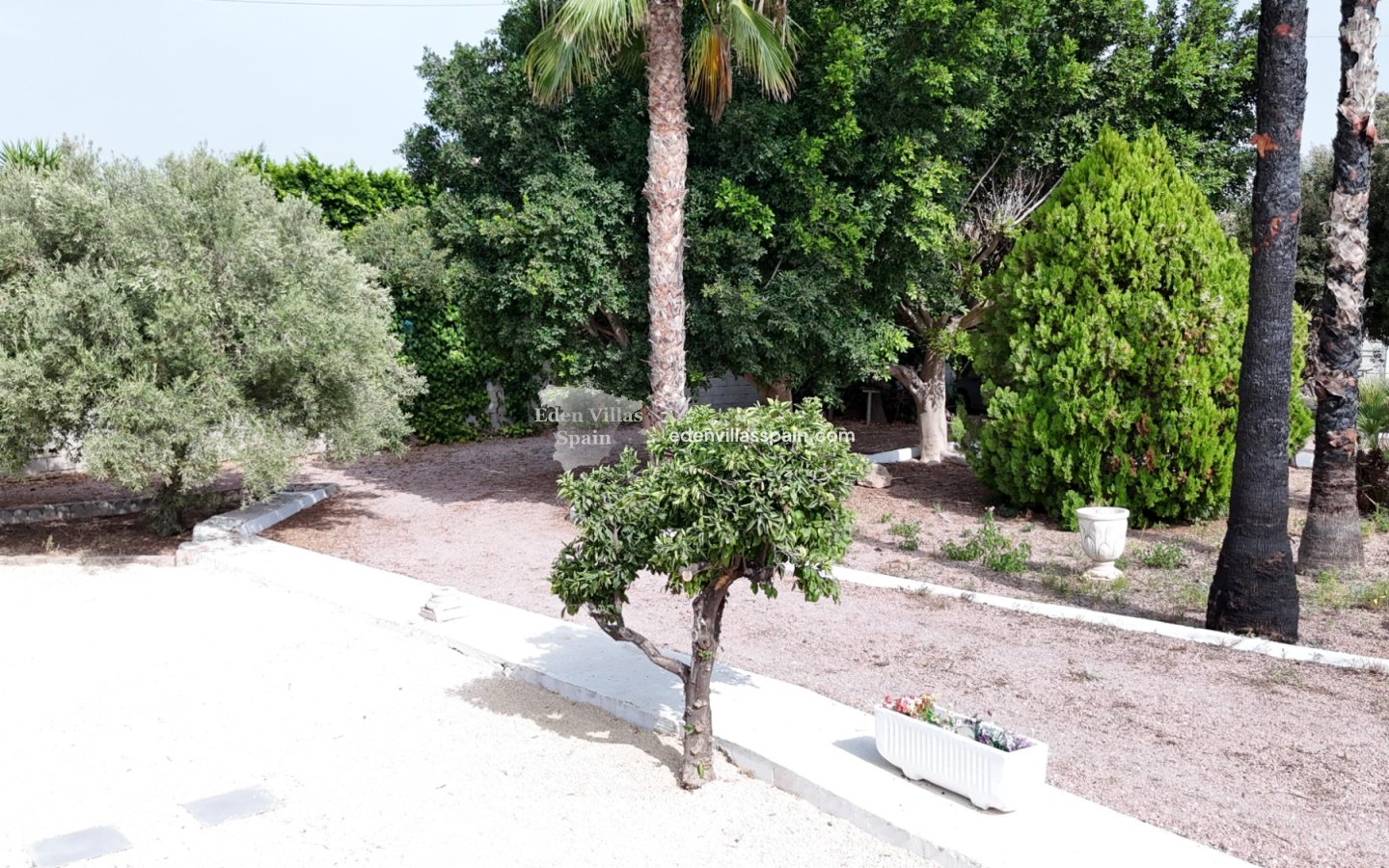 Revente - Maison de campagne - Elche