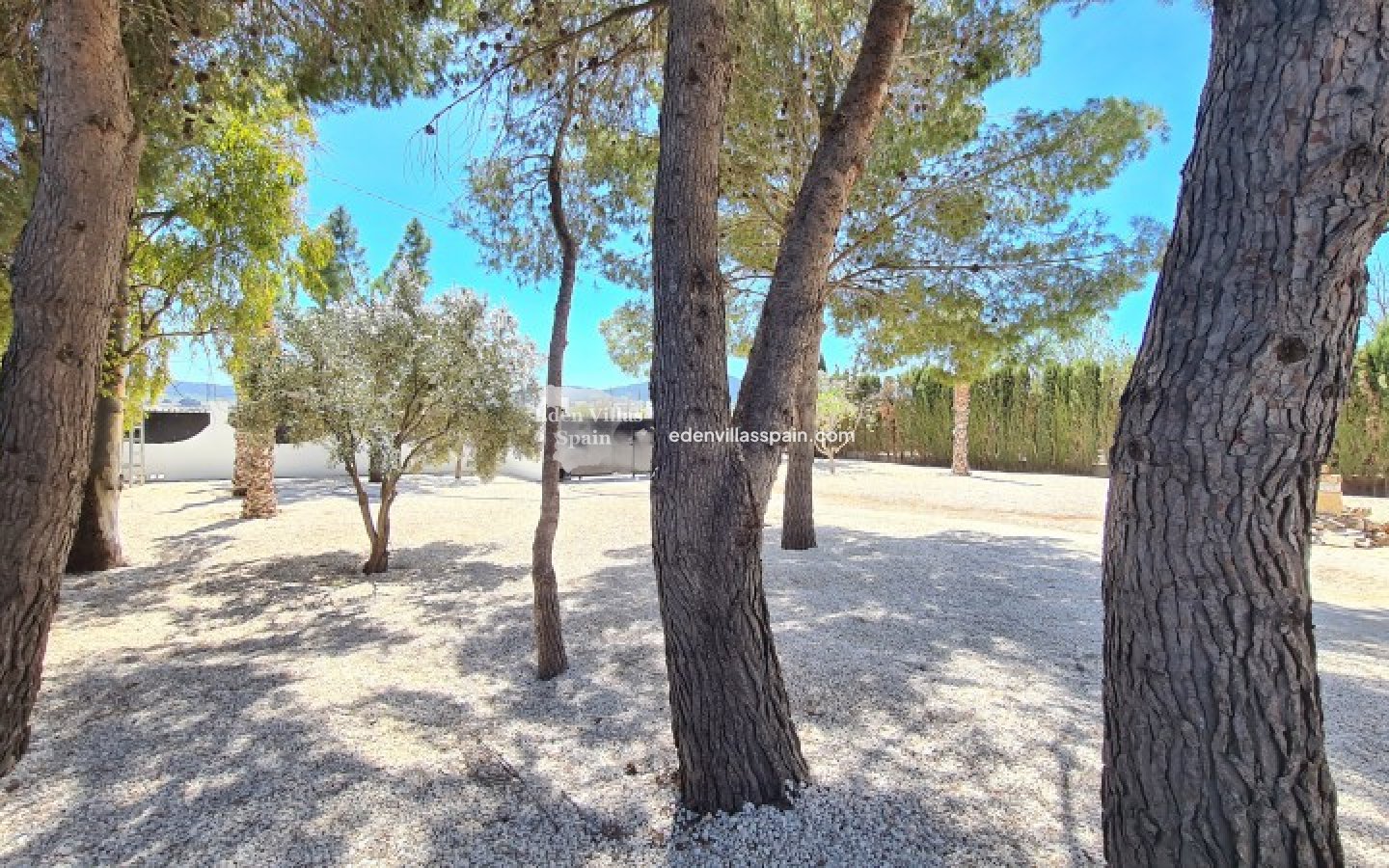 Revente - Maison de campagne - Salinas