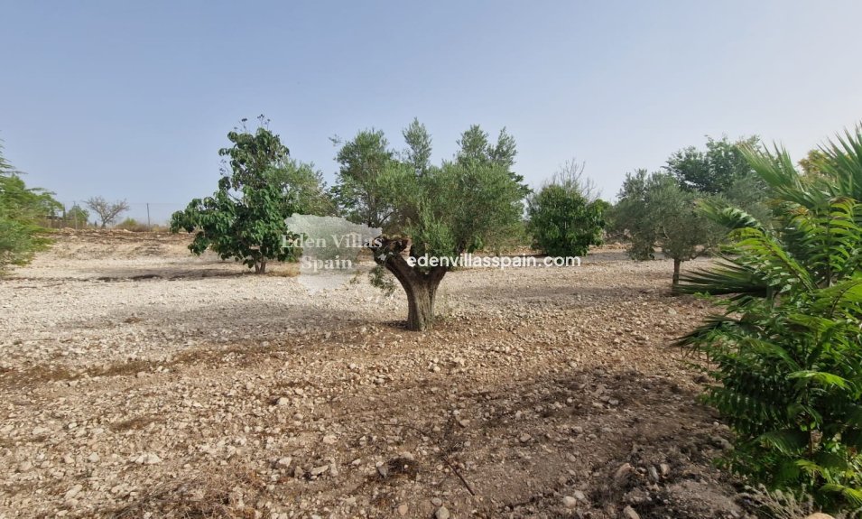 Revente - Maison de campagne - Salinas