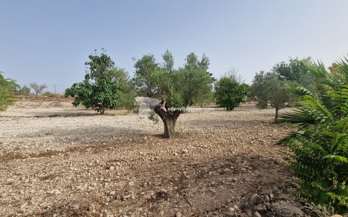 Revente - Maison de campagne - Salinas