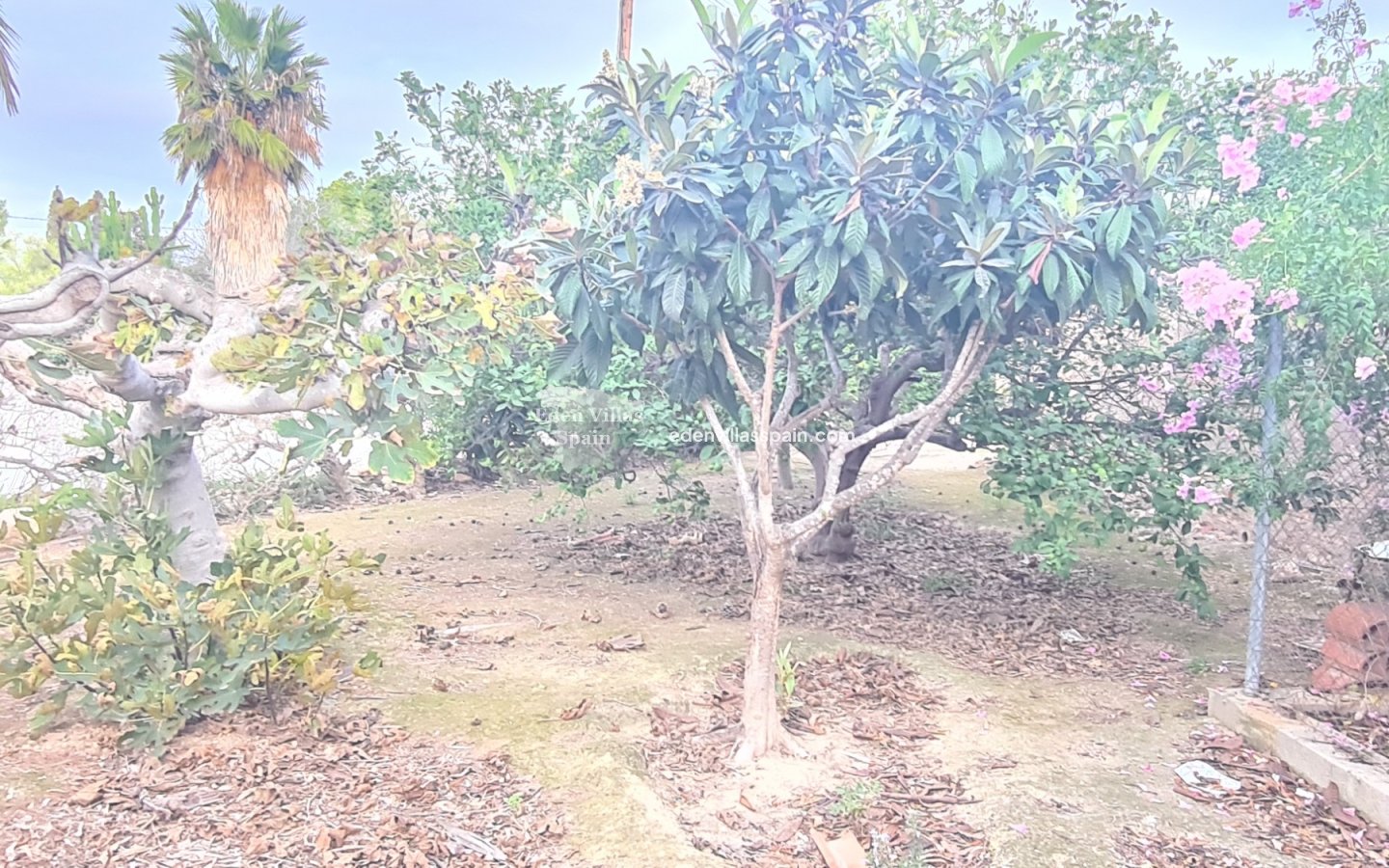Revente - Maison de campagne - Santa Pola