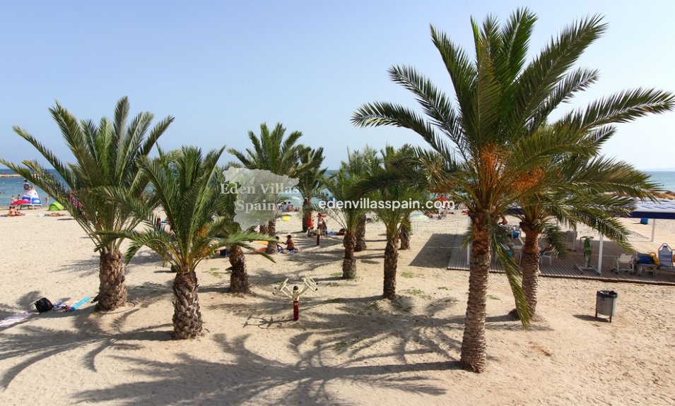 Segunda Mano - Apartamento en la costa - Santa Pola