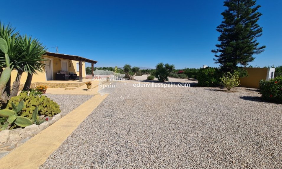 Segunda Mano - Casa de campo - Almoradi