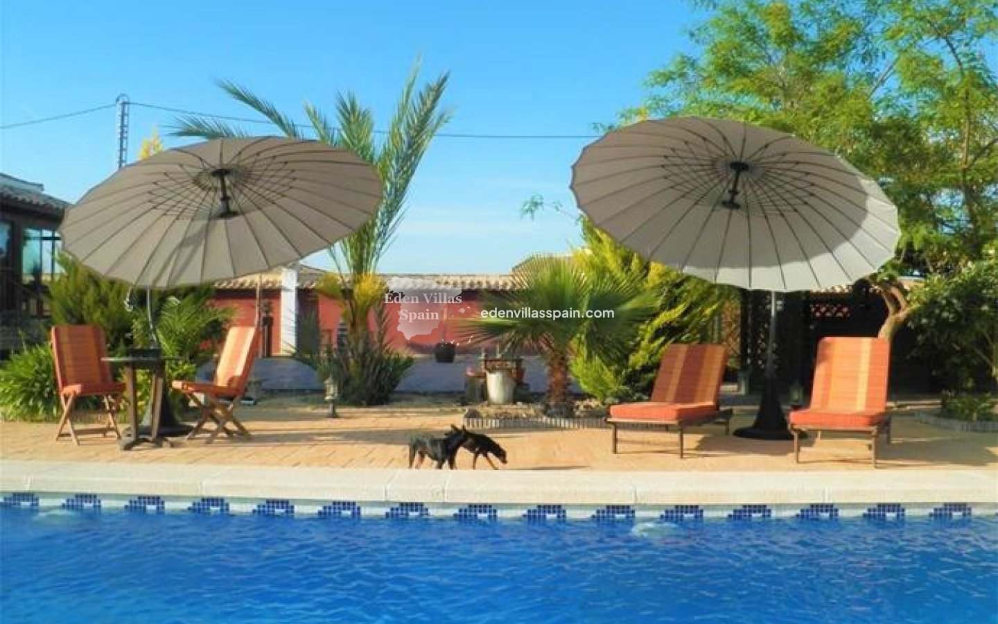 Segunda Mano - Casa de campo - Catral