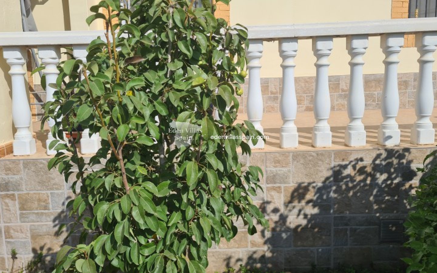 Segunda Mano - Casa de campo - Catral