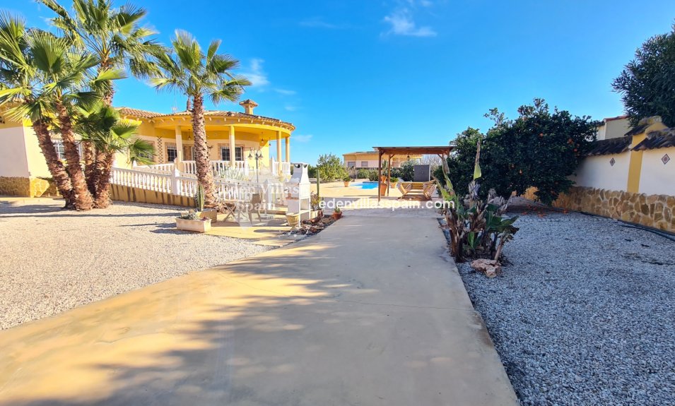Segunda Mano - Casa de campo - Catral