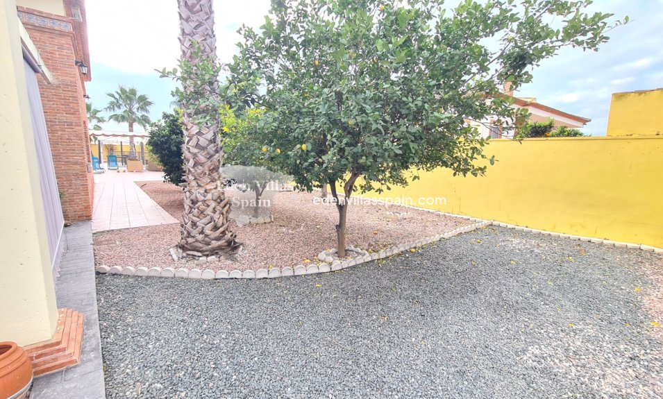 Segunda Mano - Casa de campo - Catral