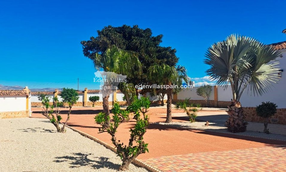 Segunda Mano - Casa de campo - Catral