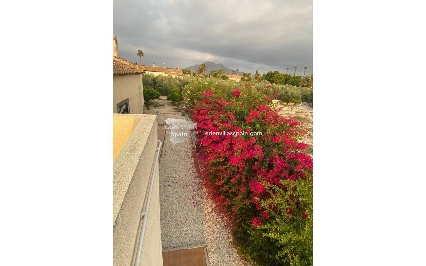 Segunda Mano - Casa de campo - Catral