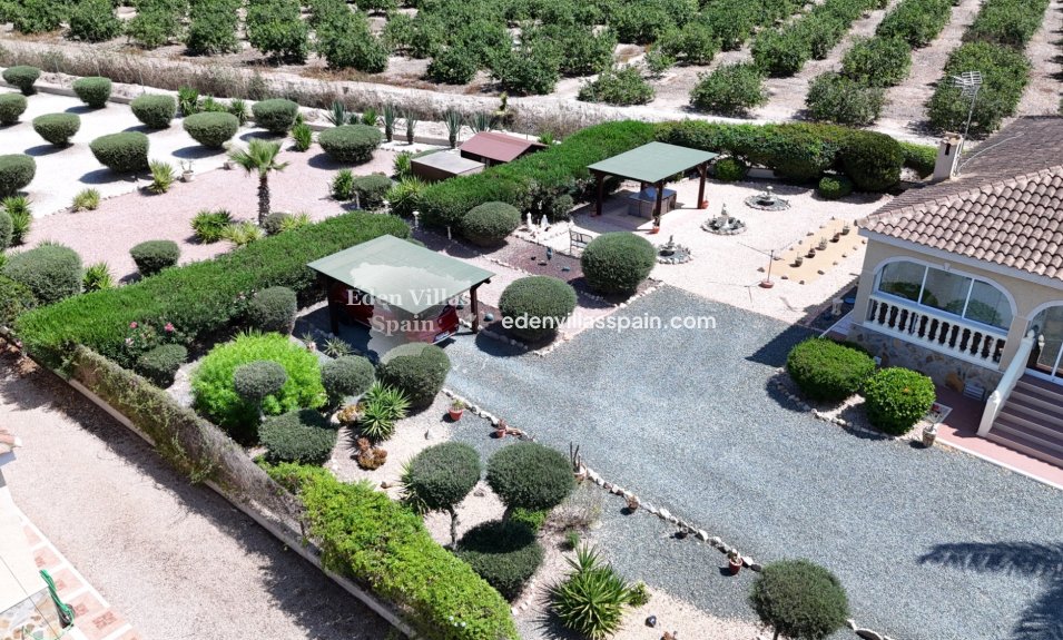 Segunda Mano - Casa de campo - Catral