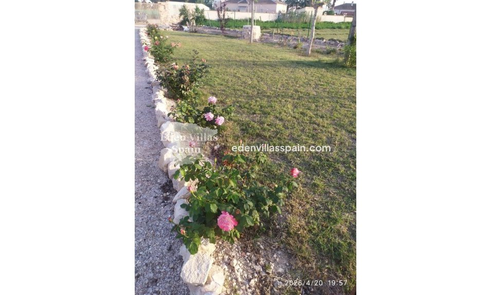 Segunda Mano - Casa de campo - Catral