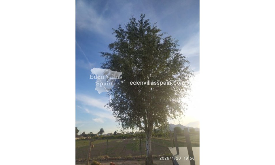 Segunda Mano - Casa de campo - Catral