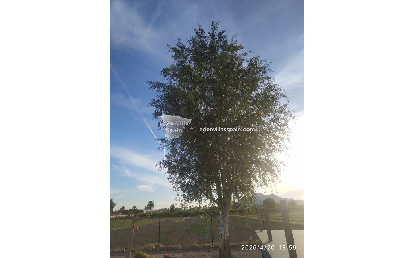 Segunda Mano - Casa de campo - Catral