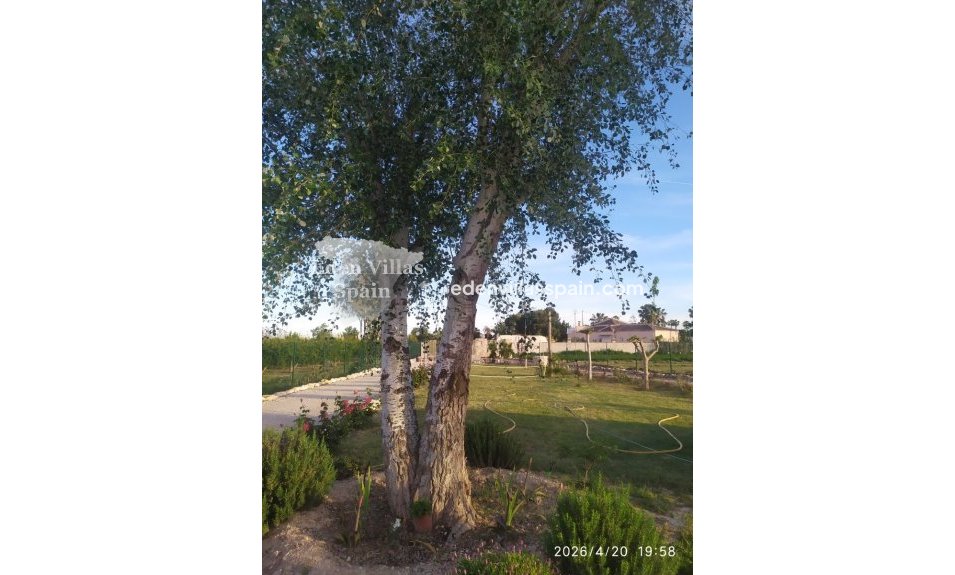 Segunda Mano - Casa de campo - Catral