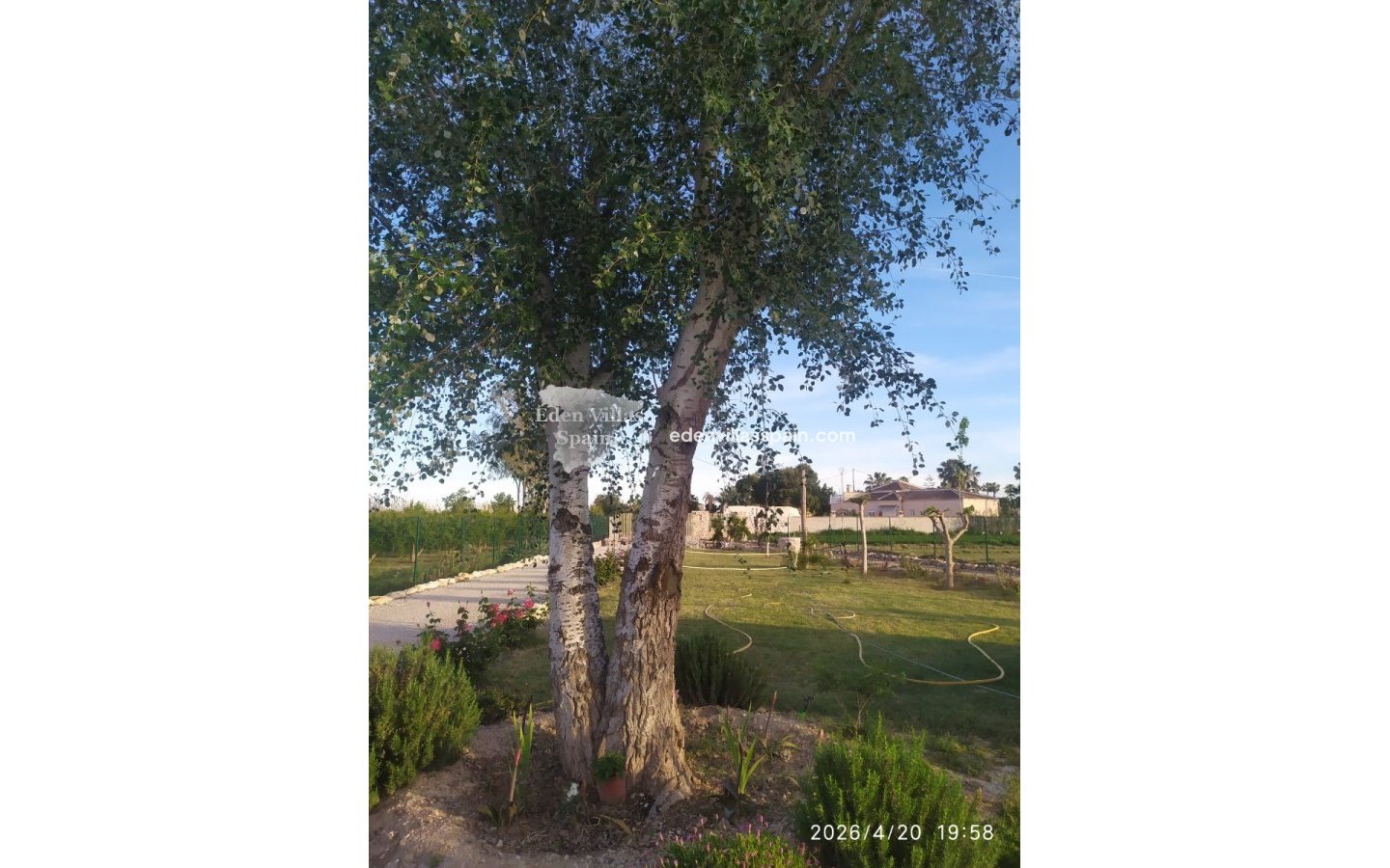 Segunda Mano - Casa de campo - Catral