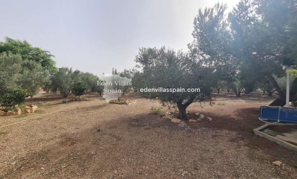 Segunda Mano - Casa de campo - Elche
