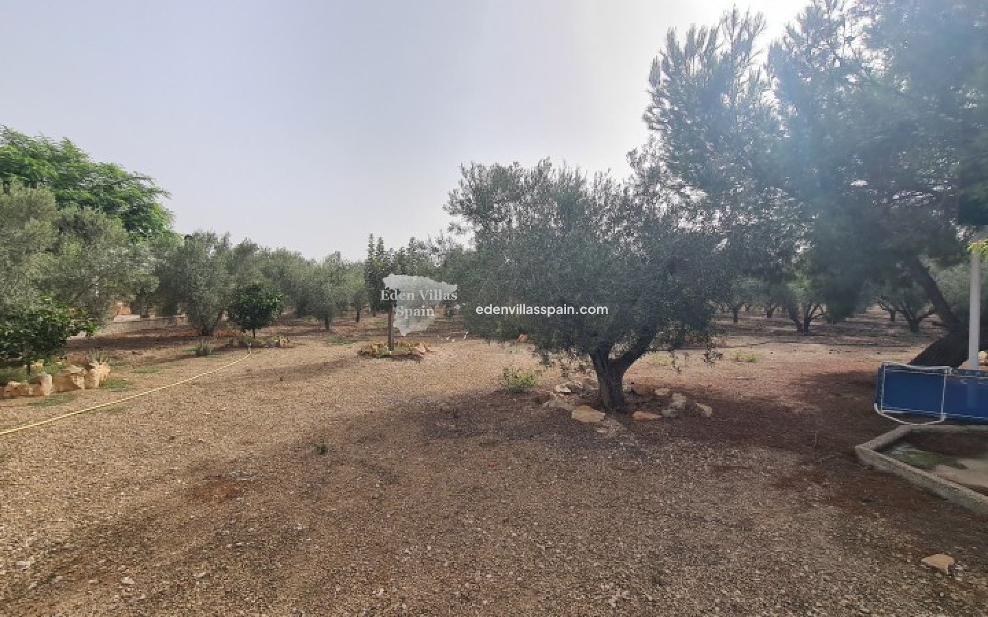 Segunda Mano - Casa de campo - Elche