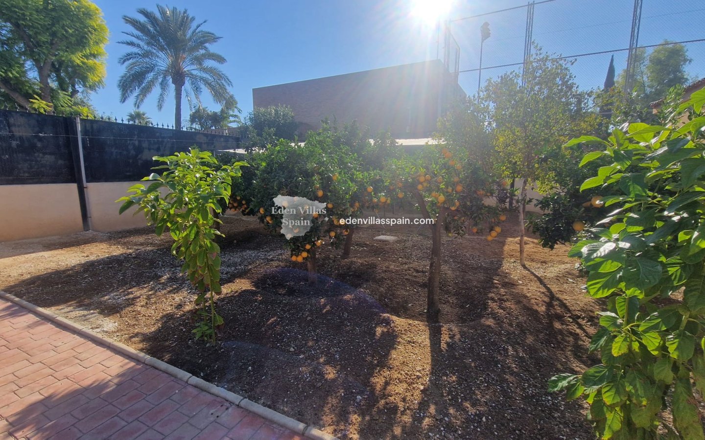 Segunda Mano - Casa de campo - Elche