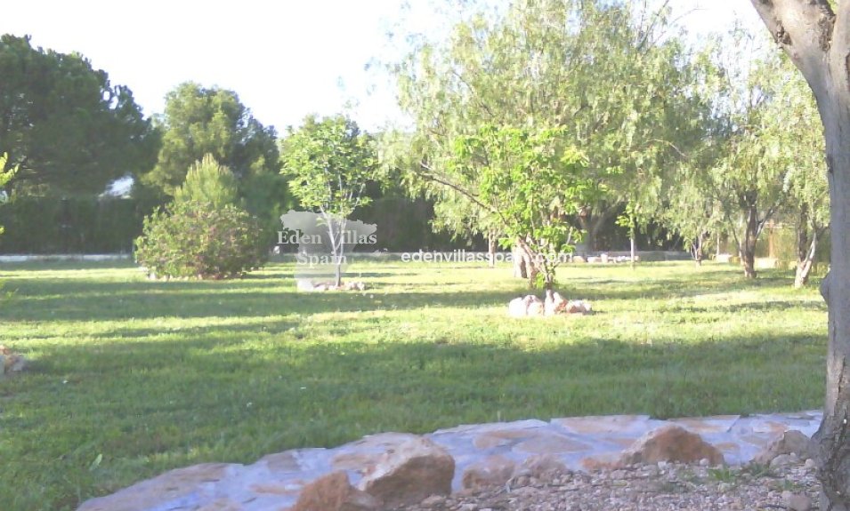 Segunda Mano - Casa de campo - Hondon de los Frailes