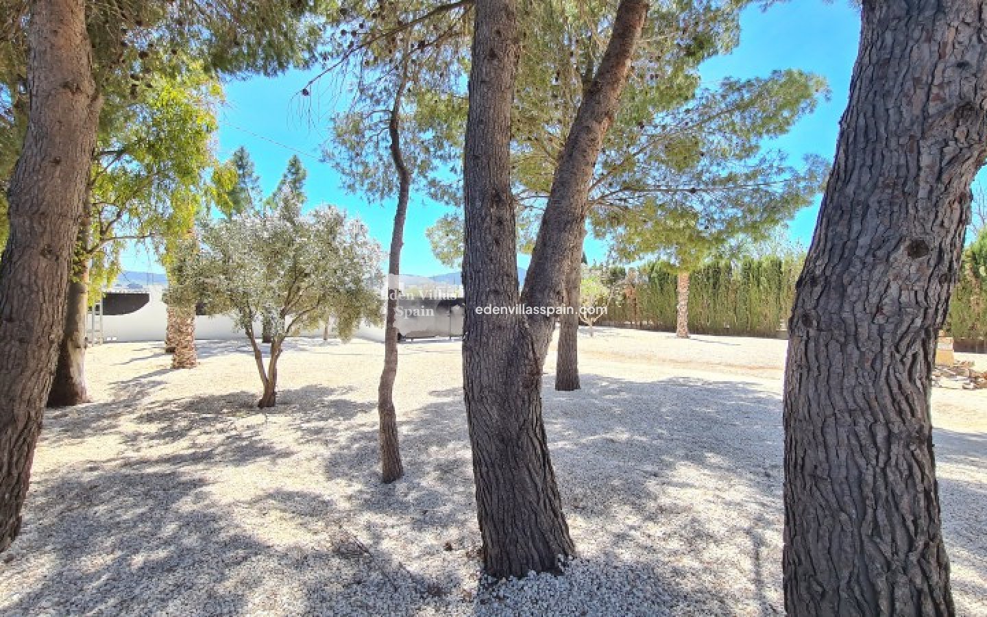 Segunda Mano - Casa de campo - Salinas