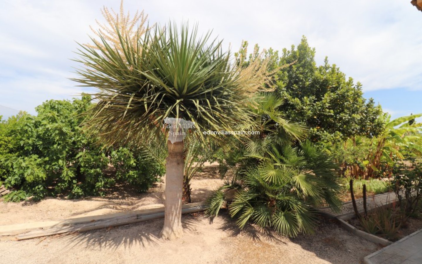 Segunda Mano - Casa de campo - Santa Pola
