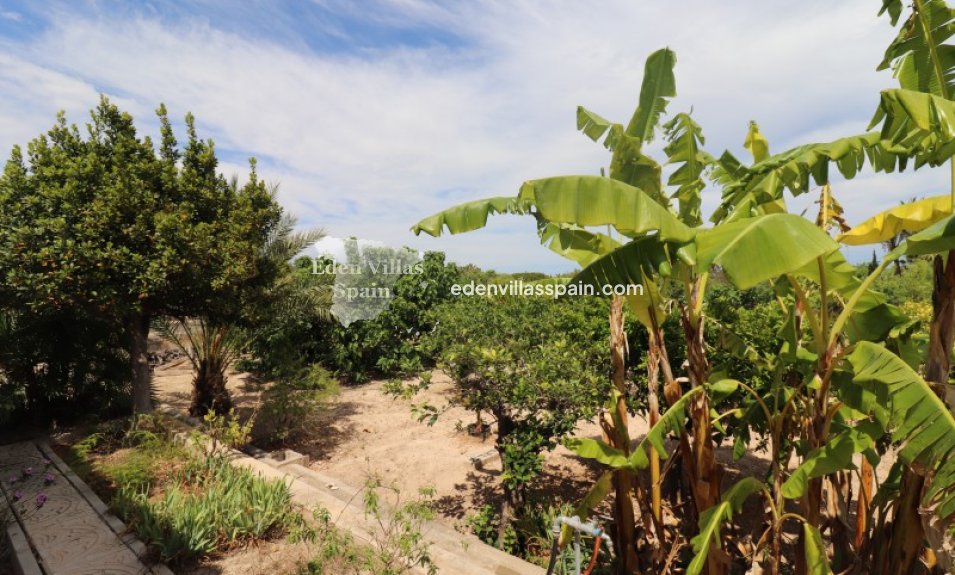 Segunda Mano - Casa de campo - Santa Pola