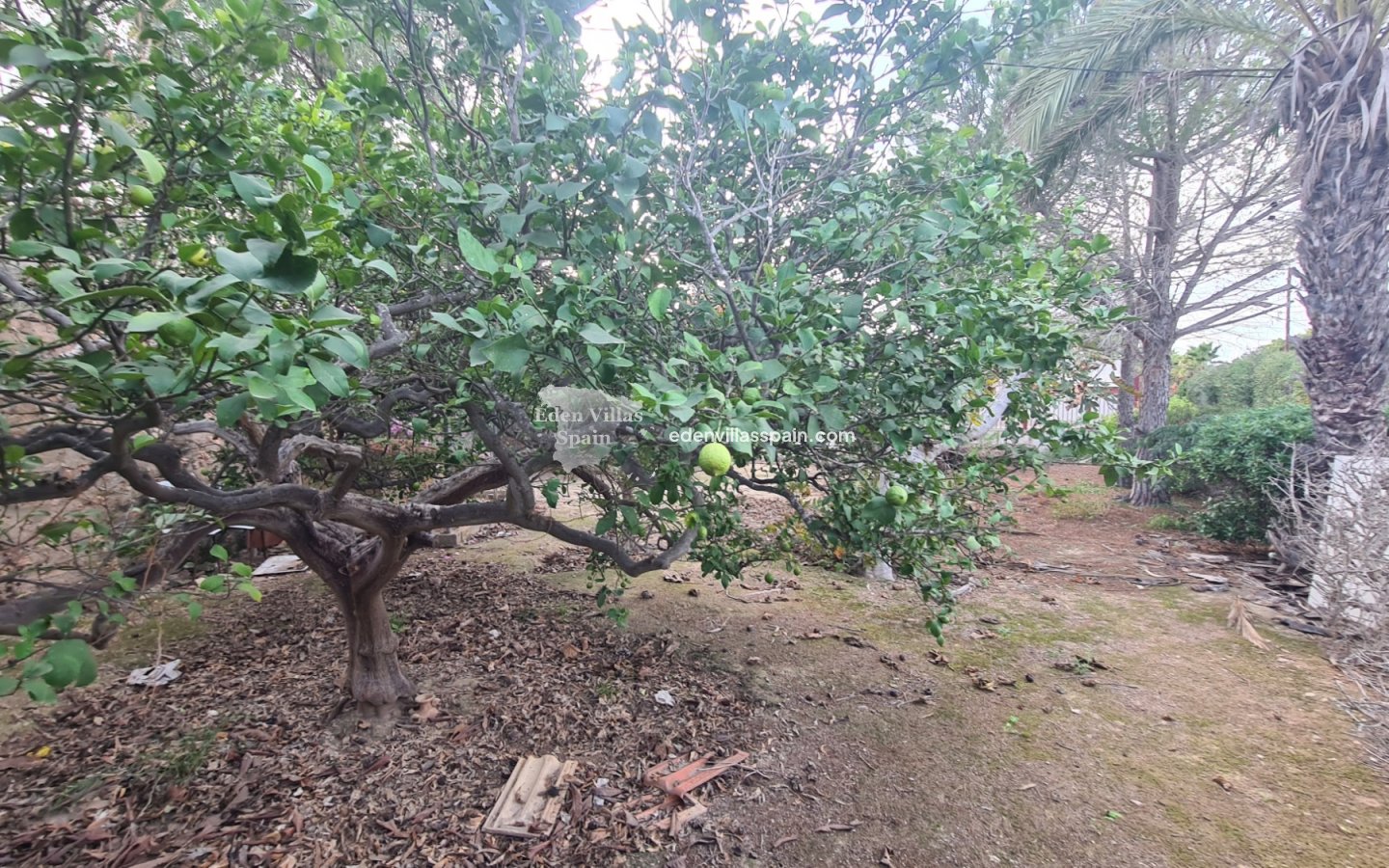 Segunda Mano - Casa de campo - Santa Pola