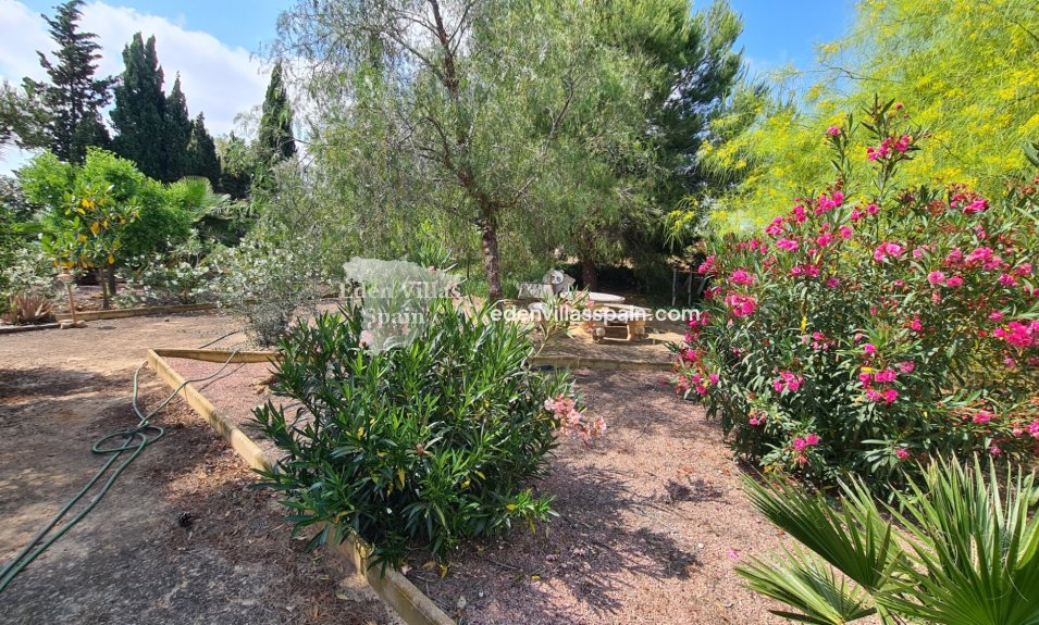 Segunda Mano - Casa de campo - Santa Pola