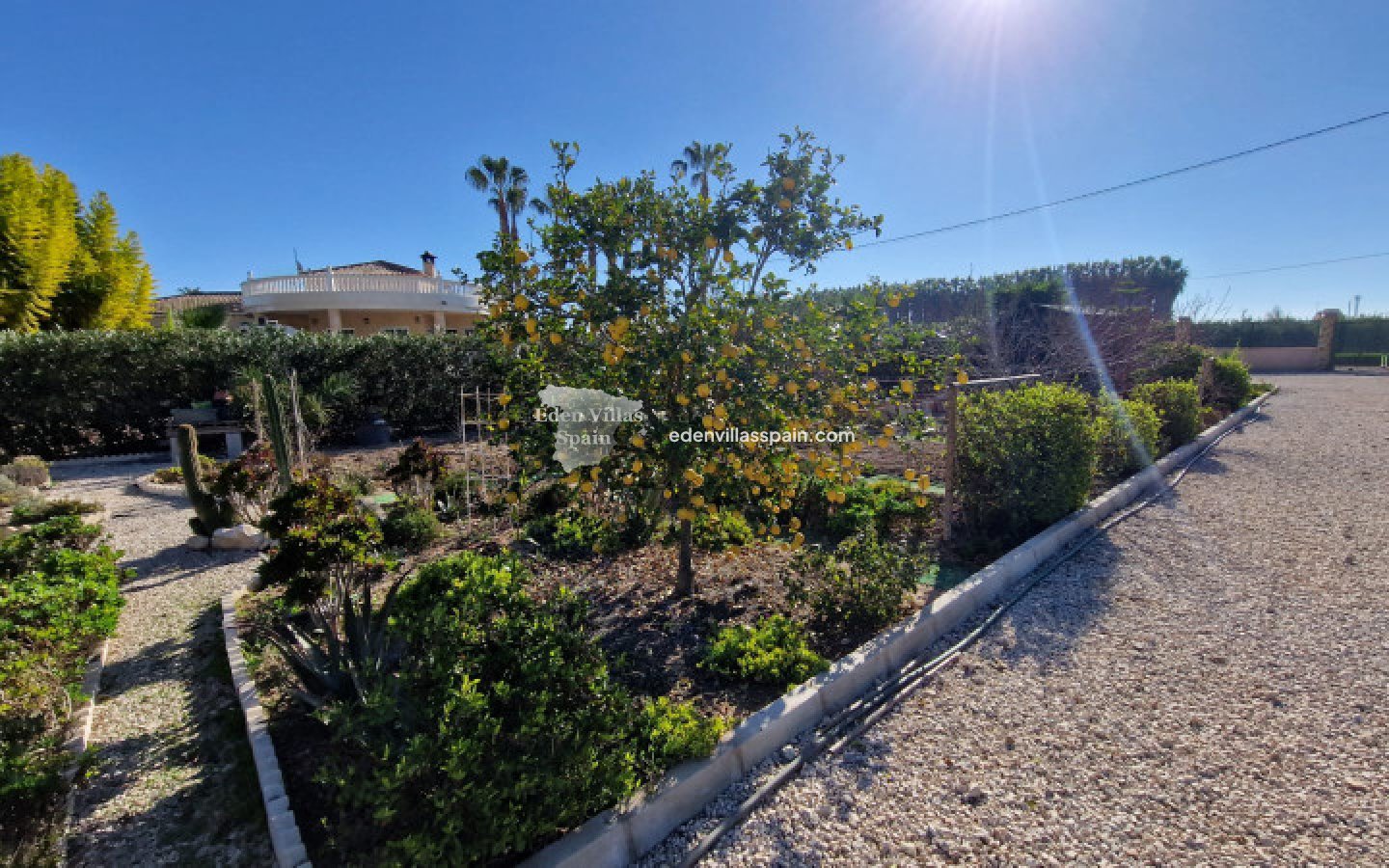 Segunda Mano - Villa costera - Catral