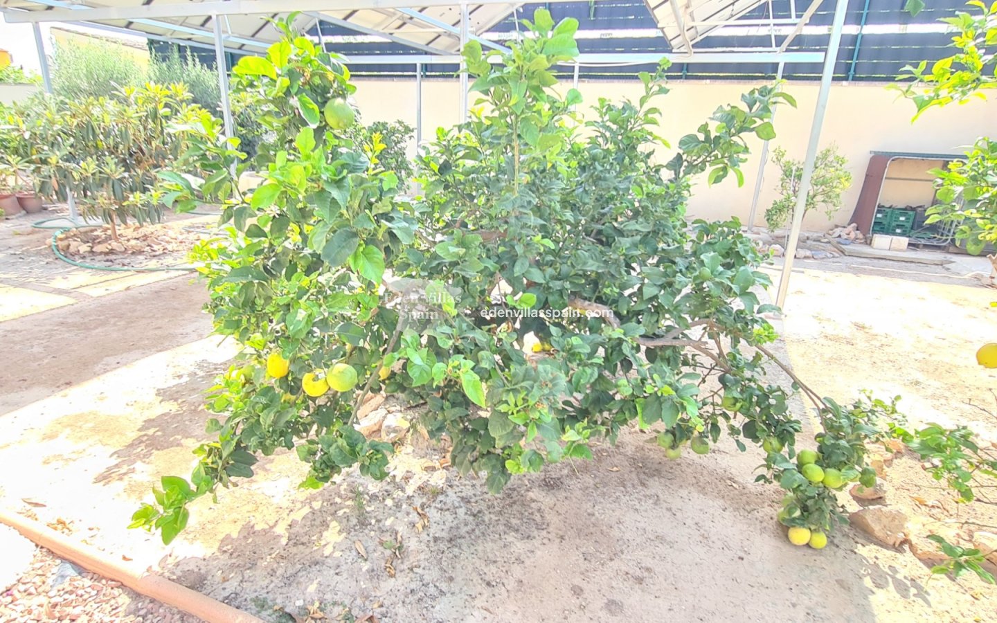 Wederverkoop - Kustvilla - La Marina