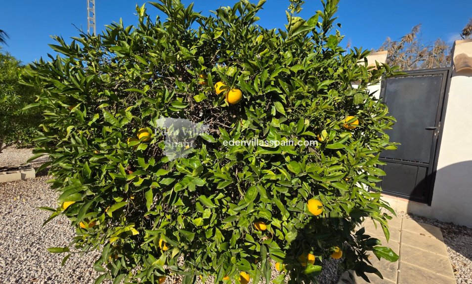 Wederverkoop - Landhuis - Catral