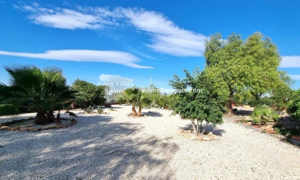 Wederverkoop - Landhuis - Catral