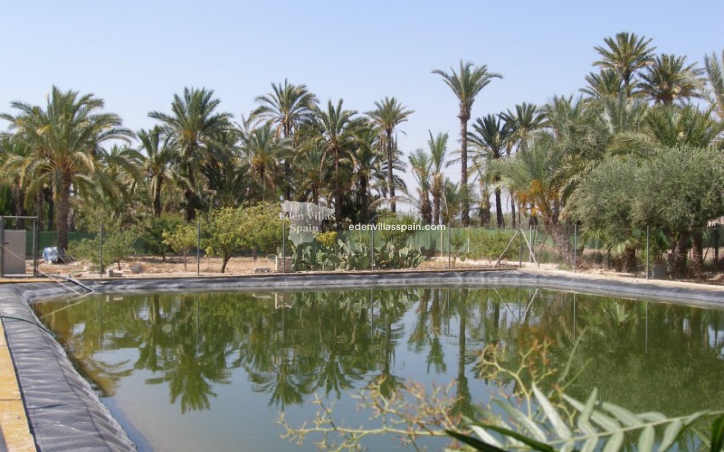 Wederverkoop - Landhuis - Elche