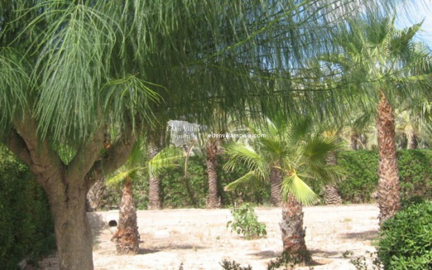 Wederverkoop - Landhuis - Elche
