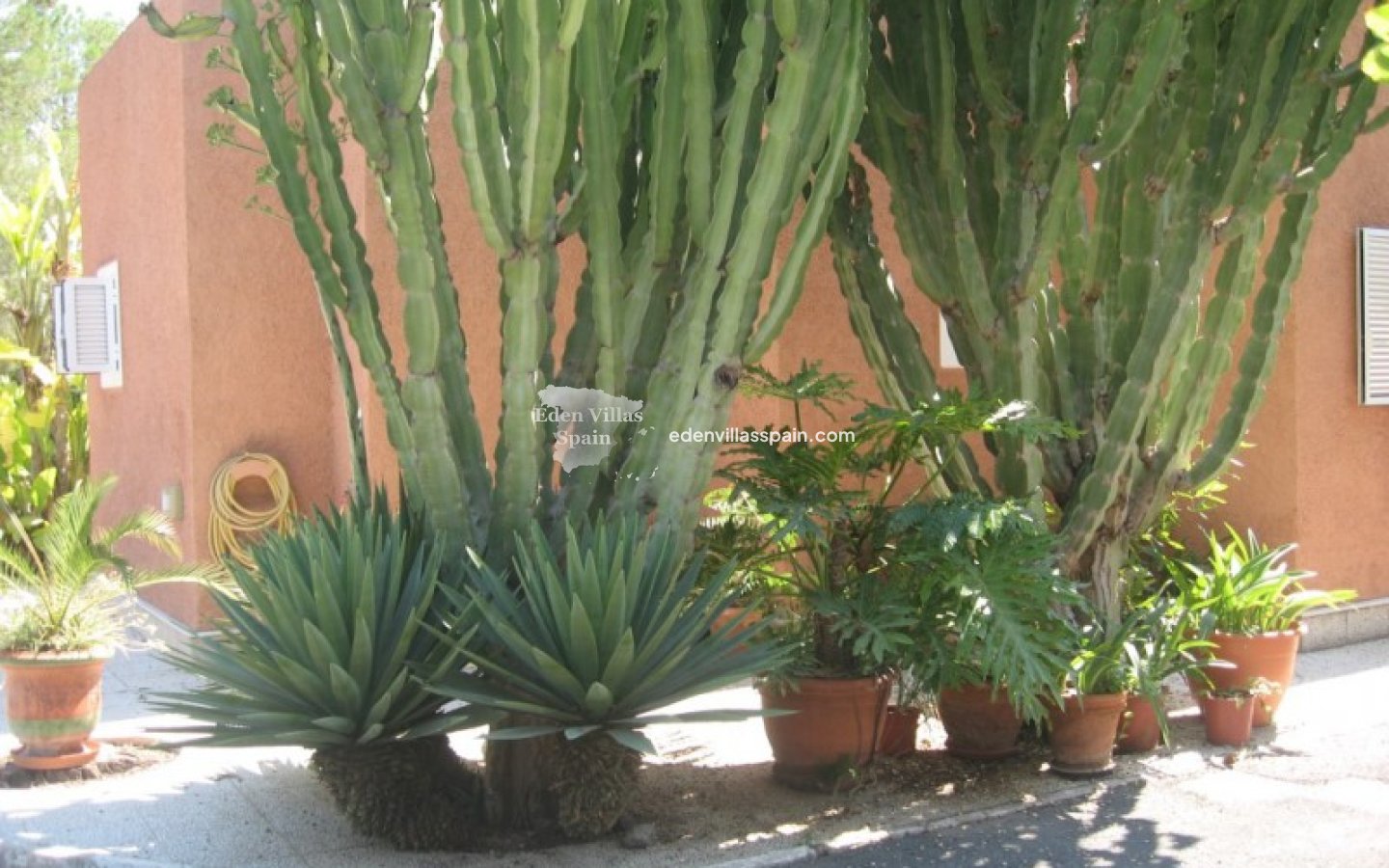 Wederverkoop - Landhuis - Elche