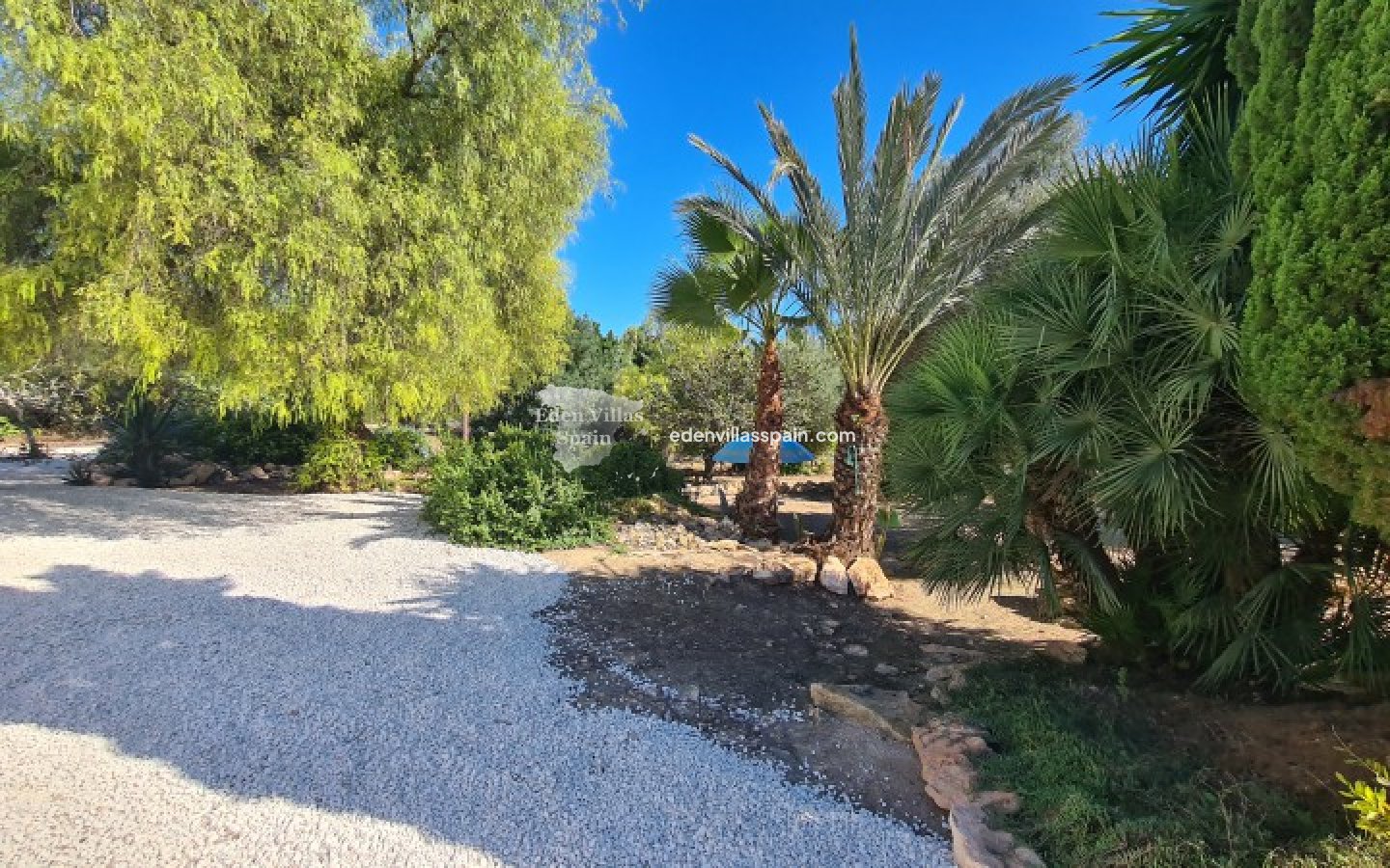Wederverkoop - Landhuis - Elche