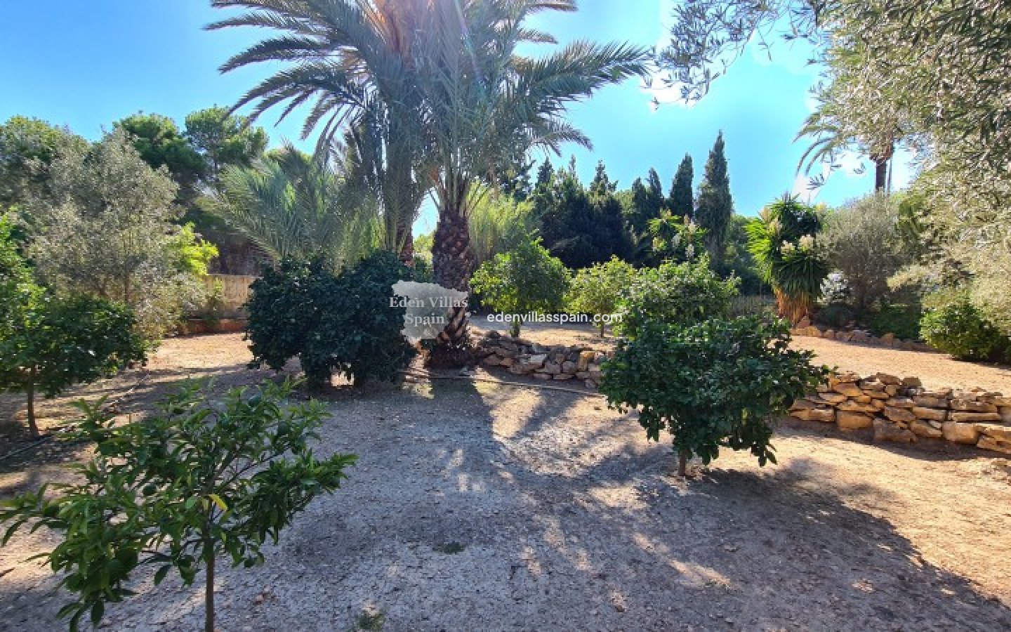 Wederverkoop - Landhuis - Elche