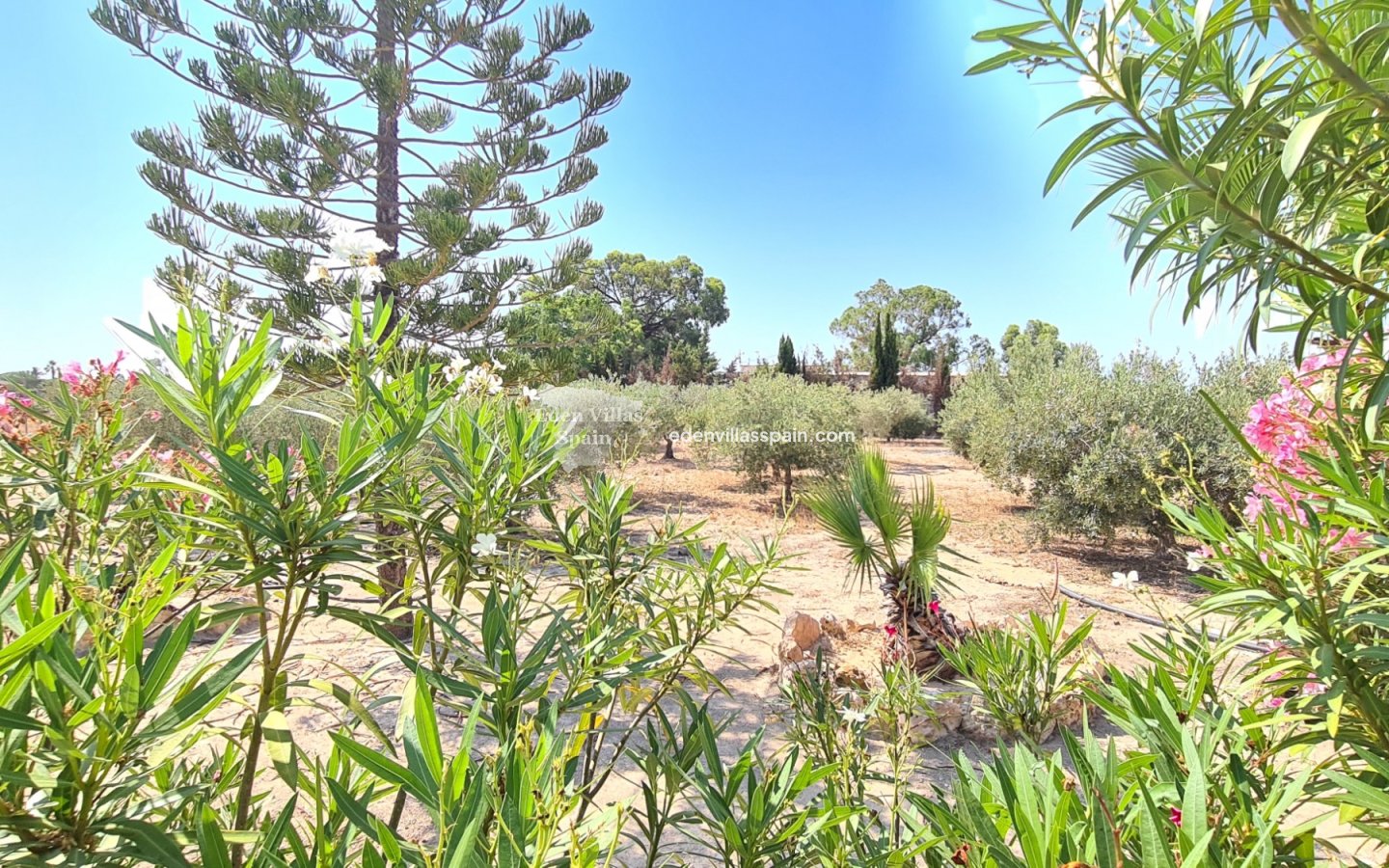 Wederverkoop - Landhuis - Santa Pola