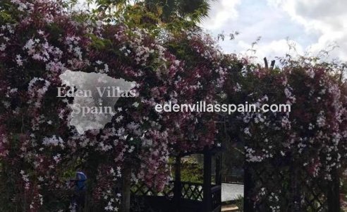 Segunda Mano - Casa de campo - Catral