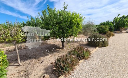 Segunda Mano - Casa de campo - Elche