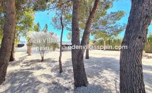 Segunda Mano - Casa de campo - Salinas