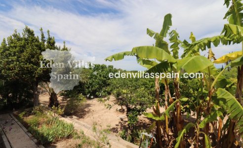 Revente - Maison de campagne - Santa Pola