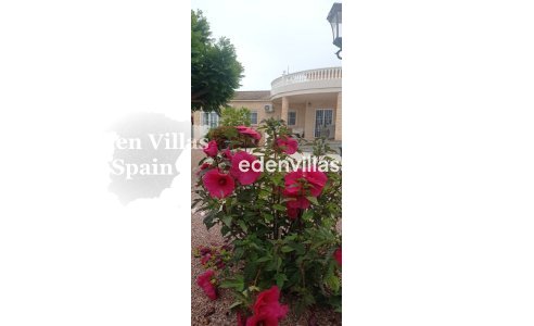 Resale - Coastal Villa - Catral