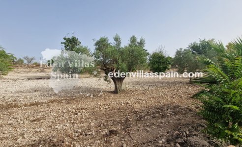 Resale - Country House - Salinas