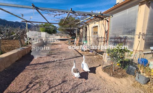 Immobilien Zweiter Hand - Landhaus - La Romana