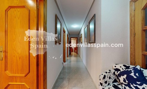 Segunda Mano - Casa de campo - Elche