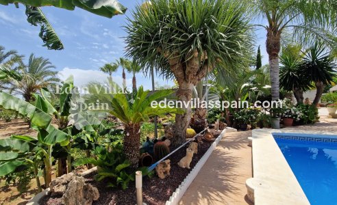 Resale - Country House - Elche
